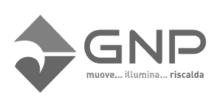 GNP